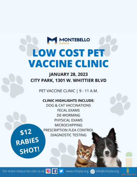 Kitten vaccinations store cost near me